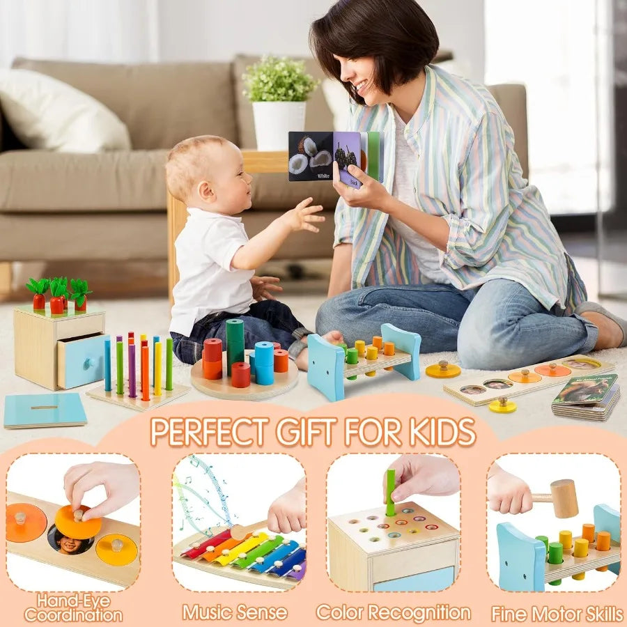 9-1 Wooden Montessori Play Kit