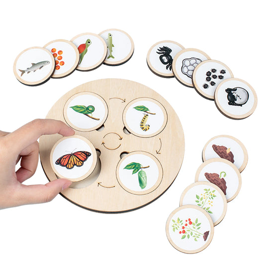 Wooden Life Cycle Puzzle