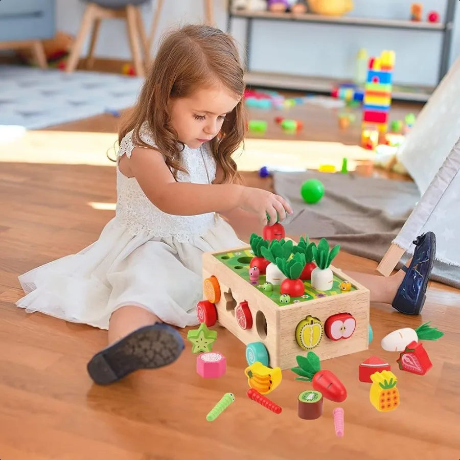Wooden Sorting Toy
