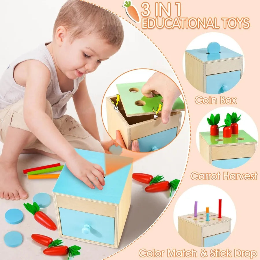 9-1 Wooden Montessori Play Kit