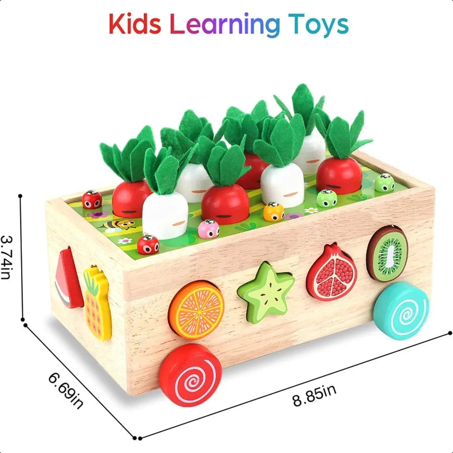 Wooden Sorting Toy