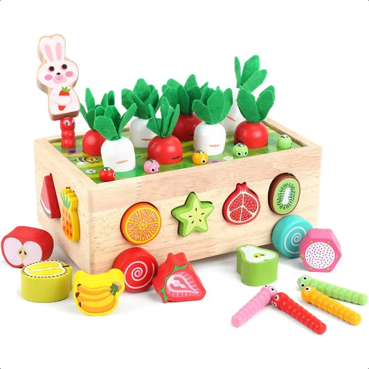 Wooden Sorting Toy