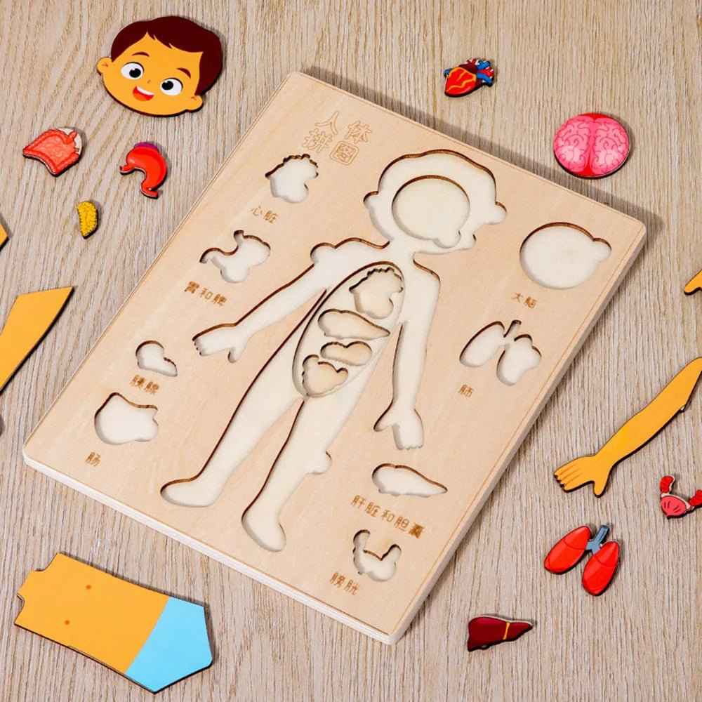 🧠 Montessori Human Body Puzzle Busy Board - JOYFULBLOCKS