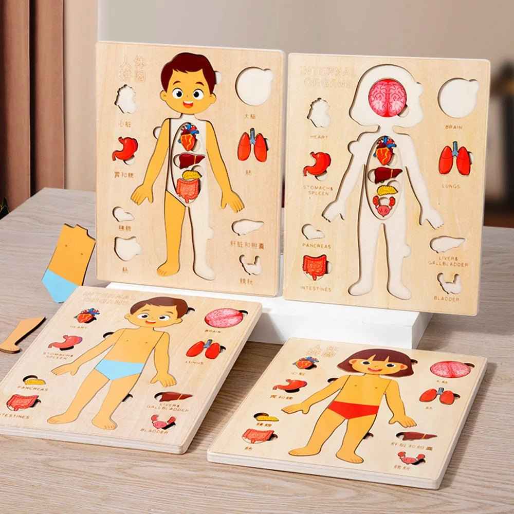 🧠 Montessori Human Body Puzzle Busy Board - JOYFULBLOCKS